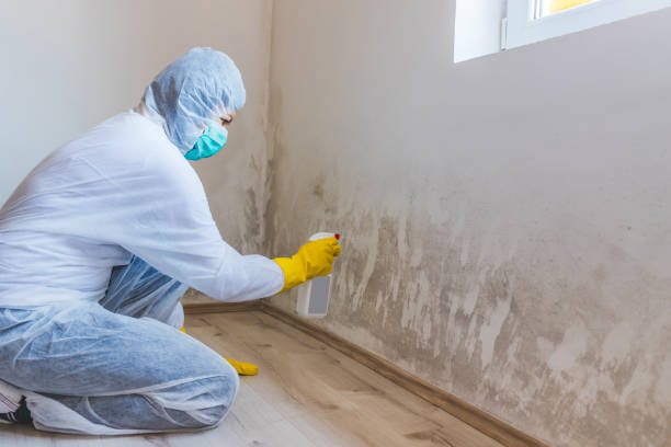 Licensed Bathroom Mold Removal service in Hilltown, PA - WQB Mold Removal