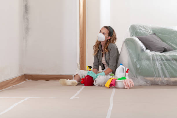 Reliable Bathroom Mold Removal contractor in Hilltown, PA by WQB Mold Removal